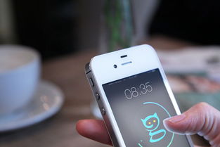 全色系手持iPhone 6s UI样机软件服务